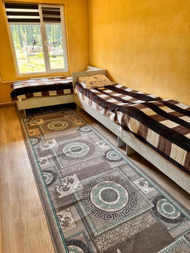 Ala-Kul Guesthouse In Altyn-Arashan Karakol Ngoại thất bức ảnh