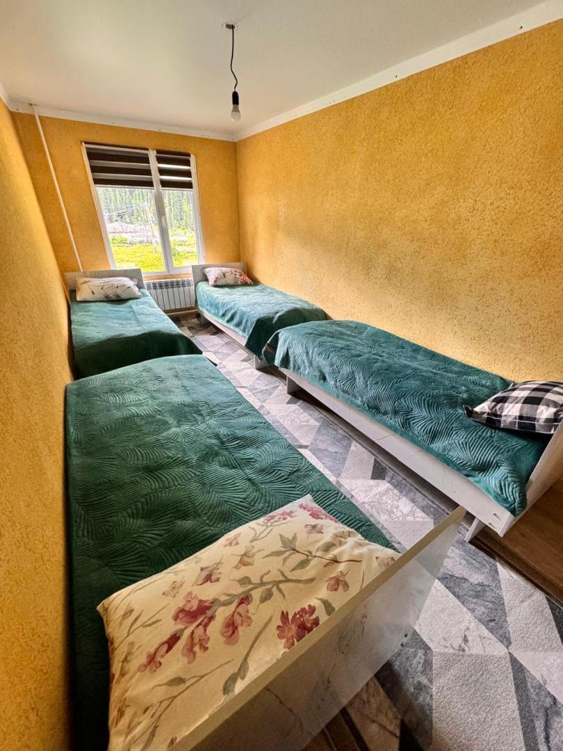 Ala-Kul Guesthouse In Altyn-Arashan Karakol Ngoại thất bức ảnh