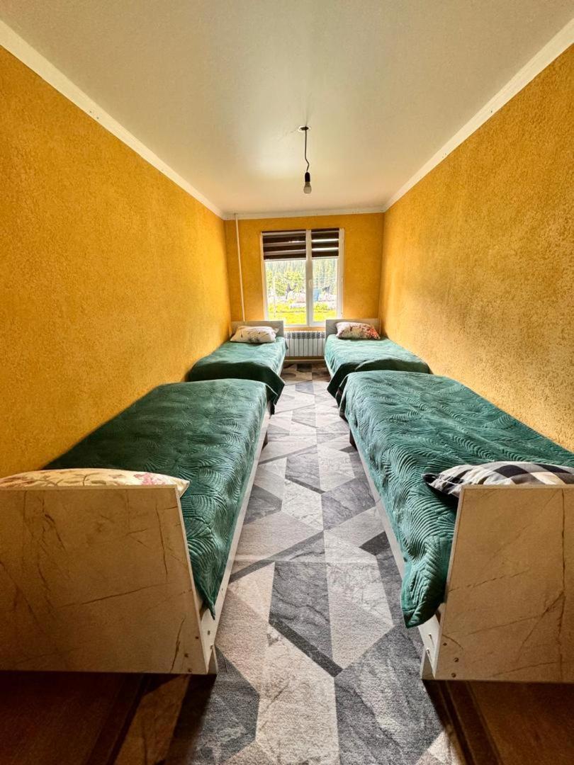 Ala-Kul Guesthouse In Altyn-Arashan Karakol Ngoại thất bức ảnh