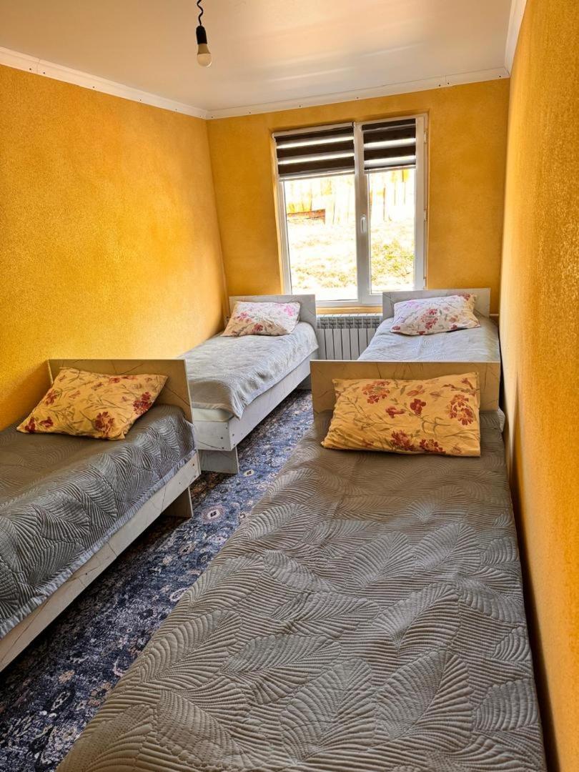Ala-Kul Guesthouse In Altyn-Arashan Karakol Ngoại thất bức ảnh