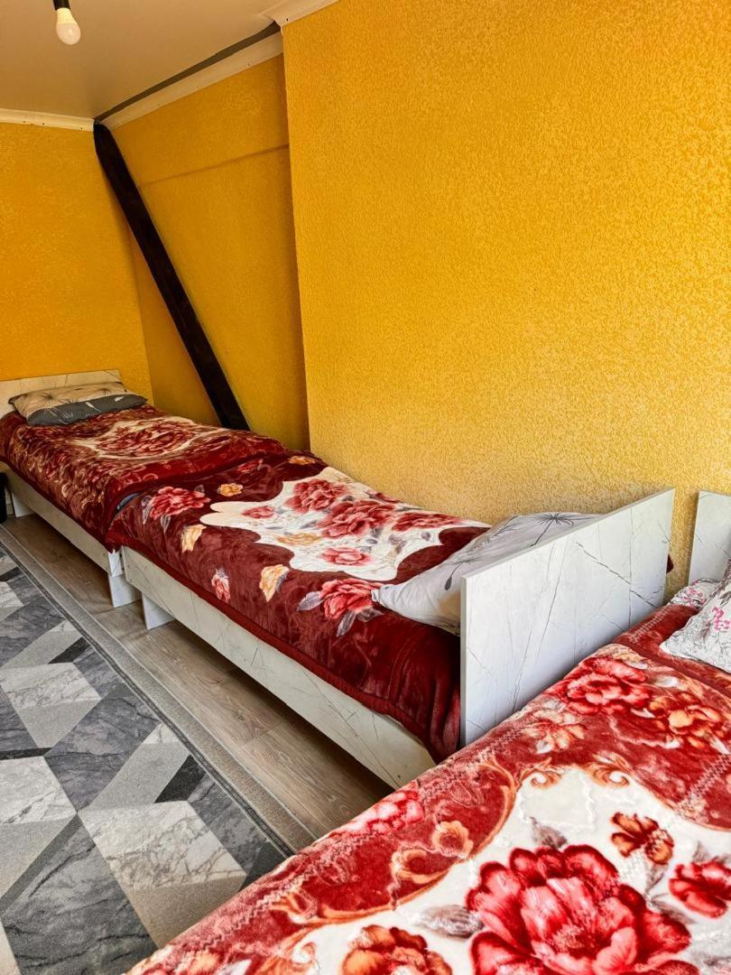 Ala-Kul Guesthouse In Altyn-Arashan Karakol Ngoại thất bức ảnh